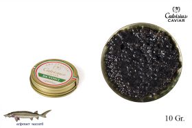 CAVIALE ARS ITALICA DA VINCI ROYAL