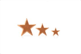 SCHOKOLADE STAR BRONZE ASSORTIMENT