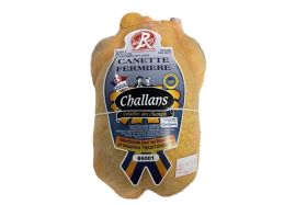 ENTE CHALLANS 1,5-1,7 KG (F)